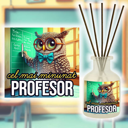 cel mai minunat profesor